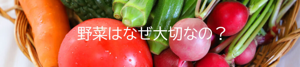 野菜はなぜ大切