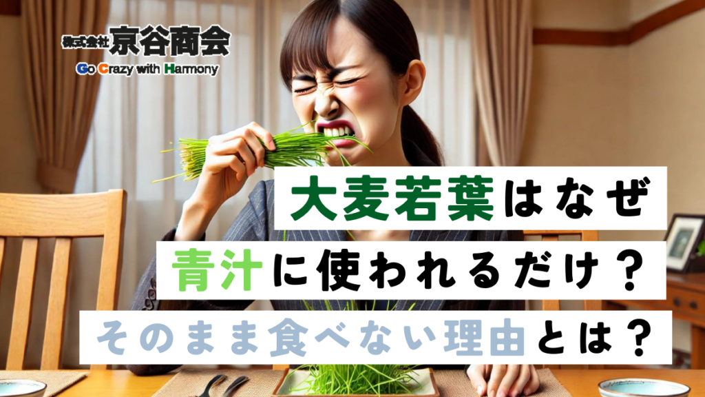 大麦若葉は青汁に使われるだけ？そのまま食べない理由とは