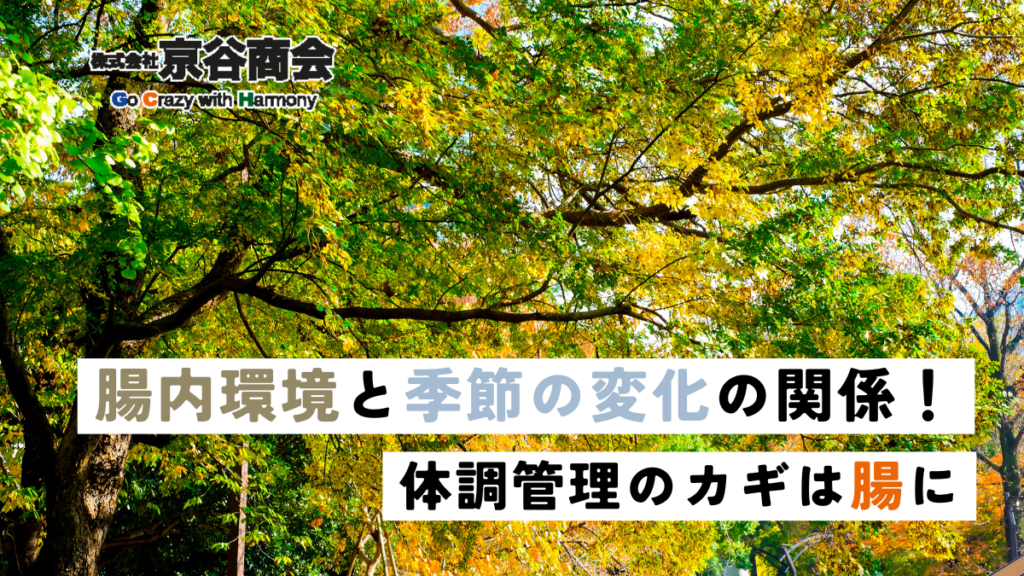 腸内環境と季節の変化の関係！体調管理のカギは腸に