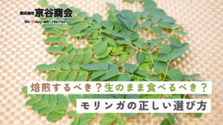 焙煎すべき？生のまま食べるべき？モリンガの「正しい選び方