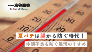 夏バテは腸から防ぐ時代！体調不良を防ぐ腸活のすすめ